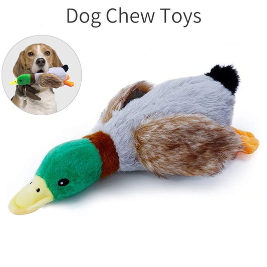 Duck Chew Toy